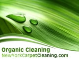 organic cleaning in new york
