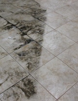 tile cleaning and sealing